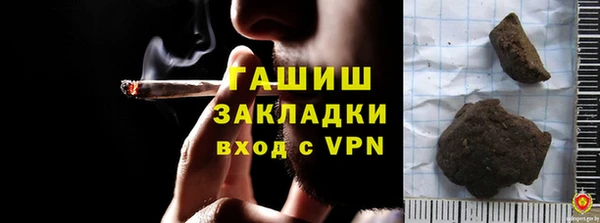 прущие грибы Абаза