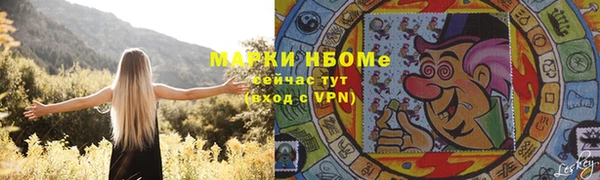 прущие грибы Абаза