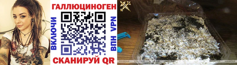 мега Бавлы Псилоцибиновые грибы мицелий