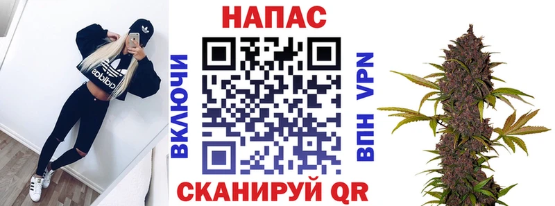 Бошки марихуана планчик  наркошоп  Бавлы 